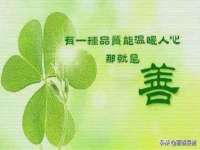 石家庄途盼商贸有限公司