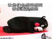 石家庄途盼商贸有限公司