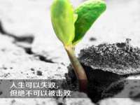 石家庄途盼商贸有限公司