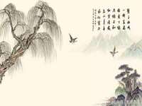 石家庄途盼商贸有限公司
