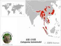 石家庄途盼商贸有限公司