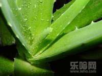 石家庄途盼商贸有限公司