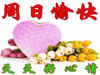 石家庄途盼商贸有限公司