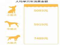 石家庄途盼商贸有限公司