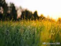 石家庄途盼商贸有限公司