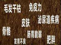 石家庄途盼商贸有限公司