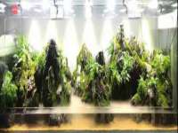石家庄途盼商贸有限公司