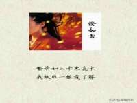 石家庄途盼商贸有限公司