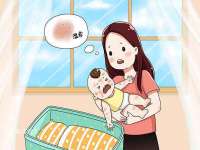 石家庄途盼商贸有限公司