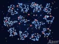 石家庄途盼商贸有限公司