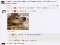 石家庄途盼商贸有限公司