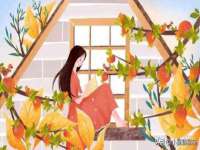 石家庄途盼商贸有限公司