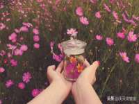石家庄途盼商贸有限公司