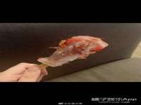 石家庄途盼商贸有限公司